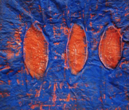 Samenkörner 40x40cm